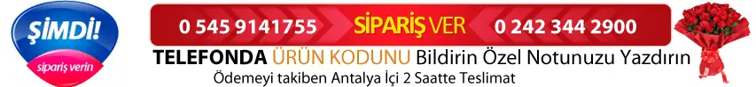 Antalya Çiçekçi